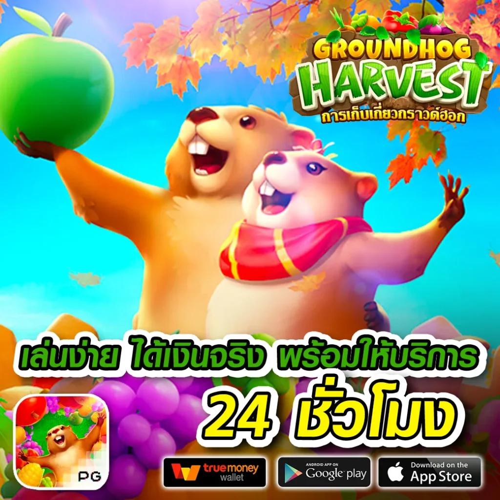 ศูนย์รวมผลบอลทันใจ ผลบอลสดโกอิน พร้อมเดิมพันคุณภาพสูง